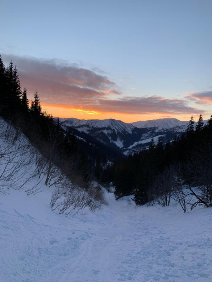 Apartman Juh Tale Buitenkant foto